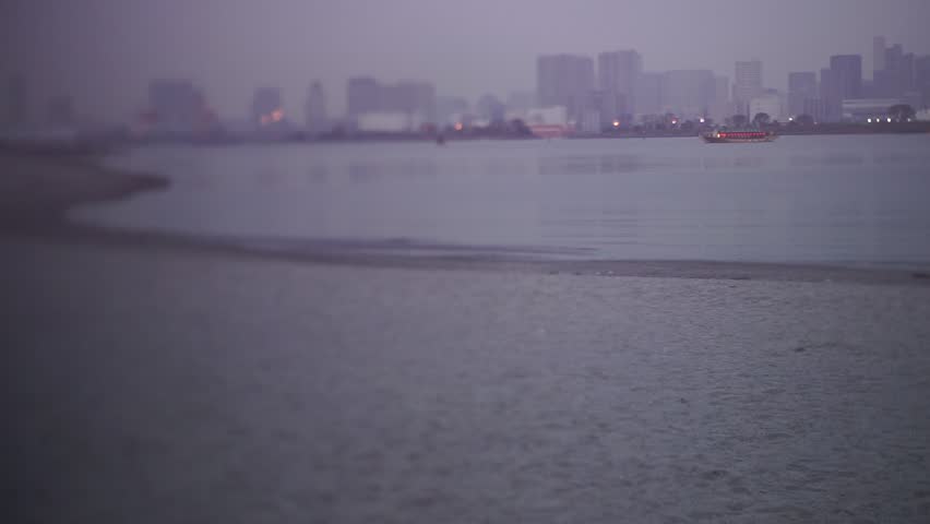 Tokyo cityscape from a small beach in Odaiba, Tokyo, Japan