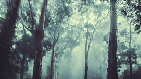 Camera track through a dark misty forest. An eerie landscape with painterly looking trees.