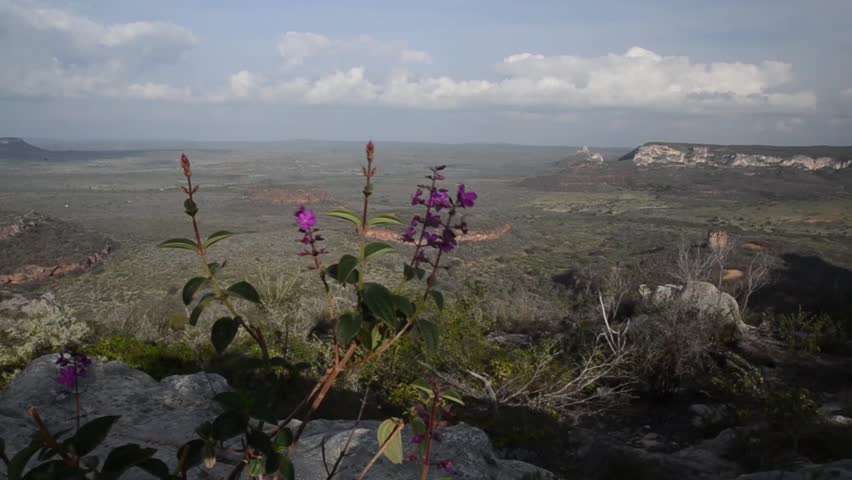 Catimbau Brazilian National Park, Pernambuco, Brazil