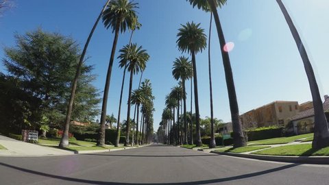 BEVERLY HILLS, CA/USA - March 31, 2015: Wide angle point of view driving vehicle shot. Clip features view of iconic tall palm trees in exclusive neighborhood.