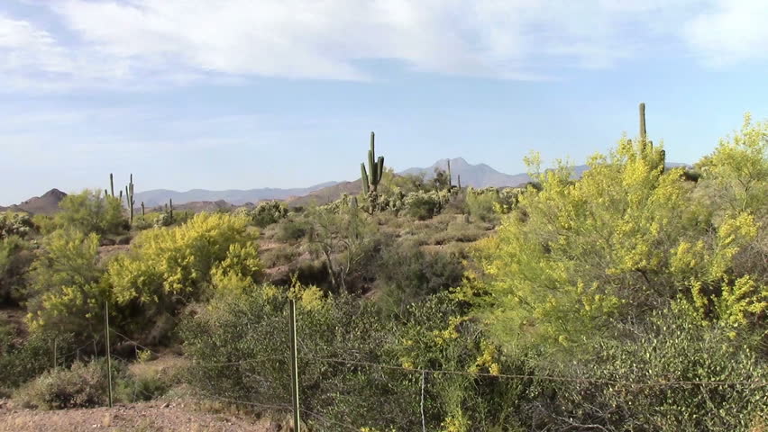 Superstition Mountains located in Lost Dutchman State Park, Arizona. The park is famous for the legend of a gold mine somewhere in the park found by a German immigrant named Jacob Waltz back in 1891.