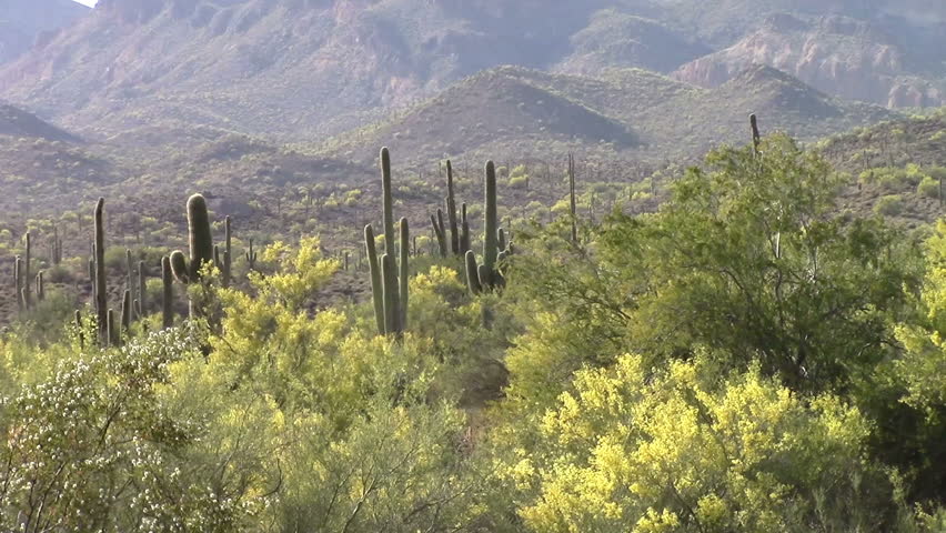 Superstition Mountains located in Lost Dutchman State Park, Arizona. The park is famous for the legend of a gold mine somewhere  in the park found by a German immigrant named Jacob Waltz back in 1891.