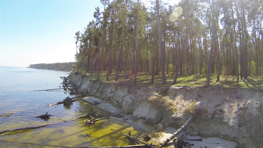Steep seashore with fallen trees. Aerial 
