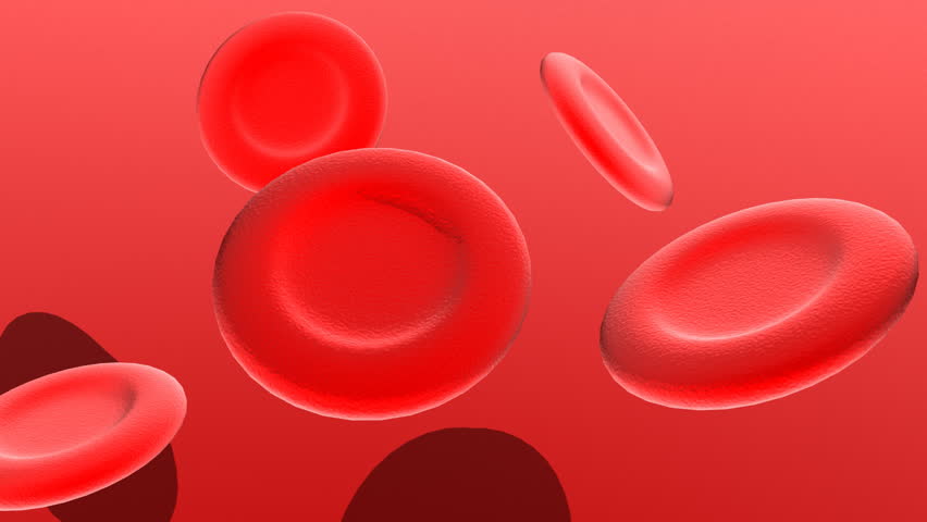 infected blood cell