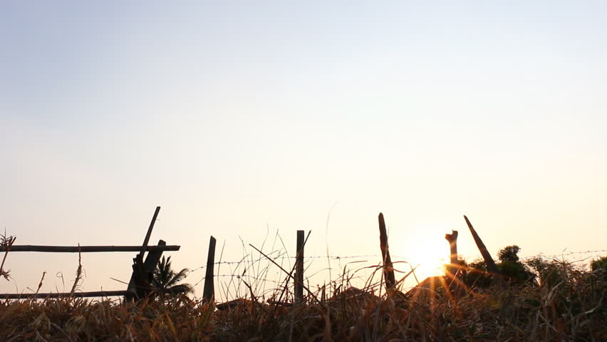 Silhouette of the man cycling bicycle 
