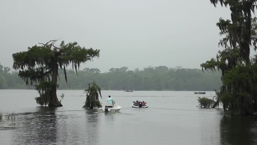 Boats heading out on Louisiana lake