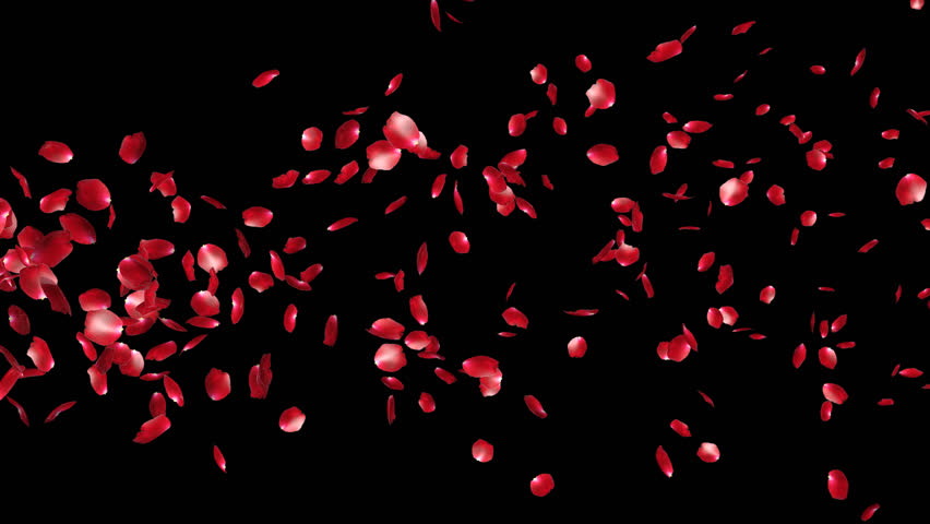 Rose Petals Flying Particles, Alpha 