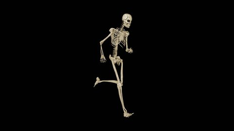 Skeleton Running Fast Loops Stock Footage Video (100% Royalty-free ...