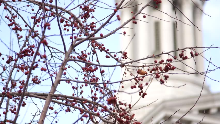 Tight shot of the clock tower on Denver