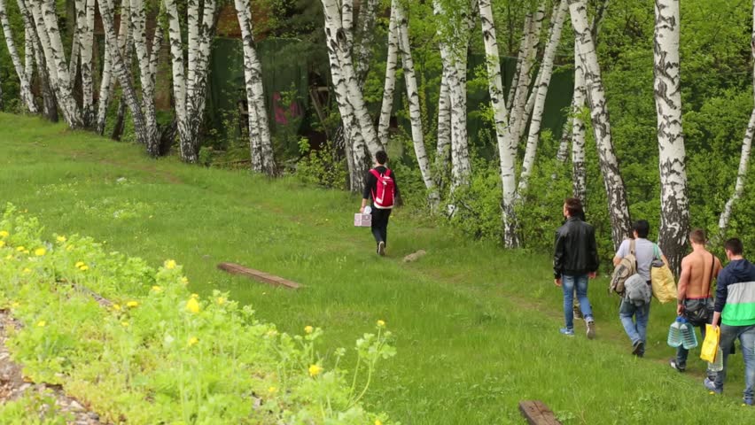 Back of six men and one woman going on green grass in countryside at spring