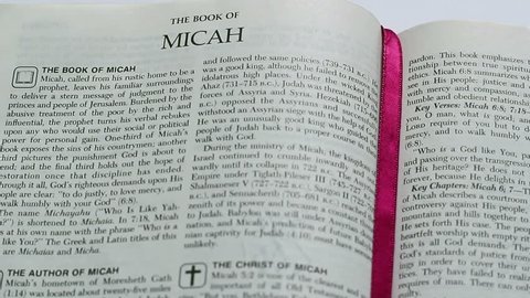 The Book Of Micah