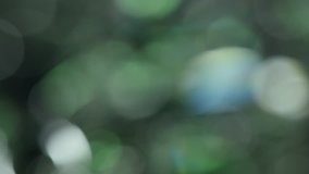 Green Color bokeh lights background. Abstract sparkles. blurred, Full HD loop, 1080p.