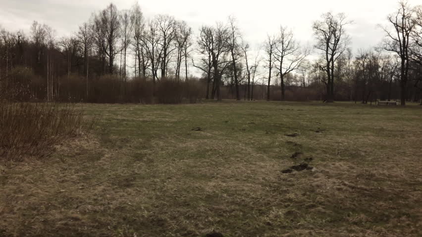 POV pan from bicycle of empty field in wild spring park, prores 422 footage