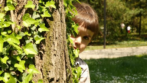 A little boy peeks around a tree trunk. Hide and seek game. Recreation outdoors for kids