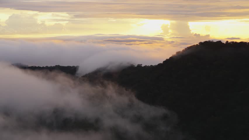 Rolling cloud over misty rainforest in jungle of Sabah Malaysian Borneo Island time lapse - during sunset