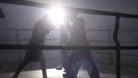 Boxers training in the ring silhouette 