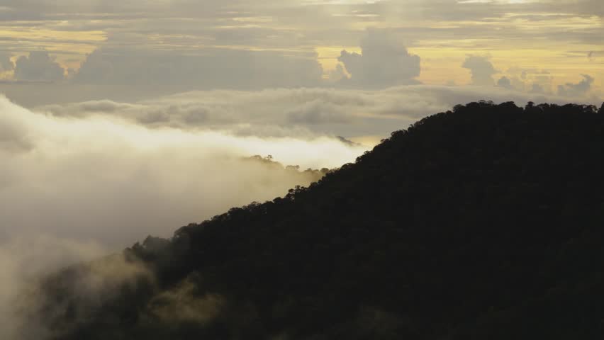 Rolling cloud over misty rainforest in jungle of Sabah Malaysian Borneo Island time lapse - during sunset