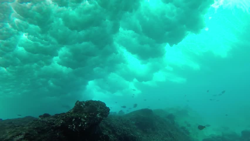 Surfing wave breaking over coral reef, slow motion underwater view | Shutterstock HD Video #9840293