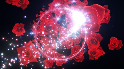 Colorful Sparkling with Rose. Stock Video