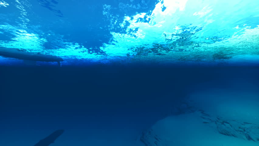 Underwater paradise | Shutterstock HD Video #985102
