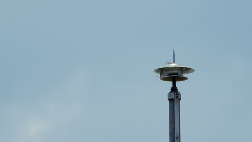 ashy woodswallow bird is building its nest on the metal pole