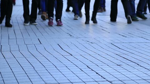 Concept Make Your Own Path Find Stock Photo 1049462657 | Shutterstock