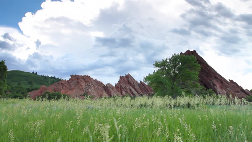 Scenic of grasses swaying in the wind, with sandstone cliffs in the background,