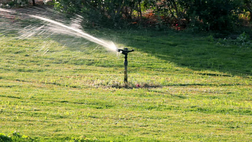 sprinkler watering green lawn