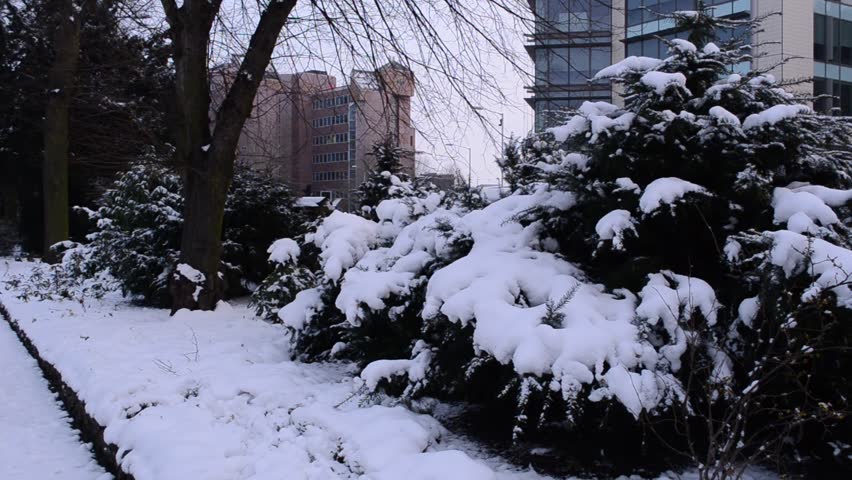 England in the Snow (Urban Park)