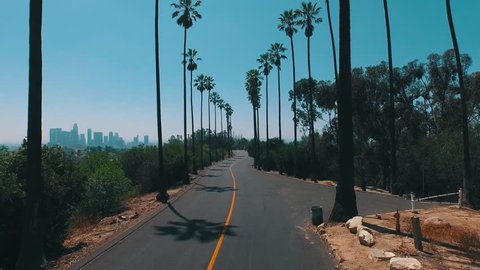Skater /  Long-boarder Rides Through Palm Trees Overlooking Downtown Los Angeles Stockvideó