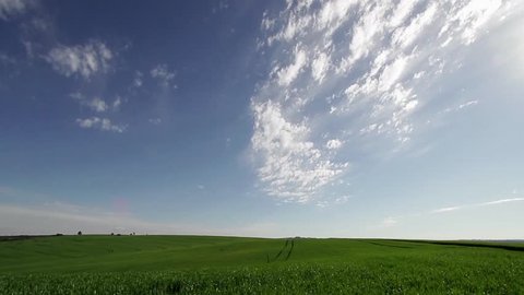 Wheat field in spring with beautiful sky and clouds, 