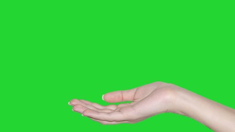 Hand Green Screen Gacha - canvas-derp