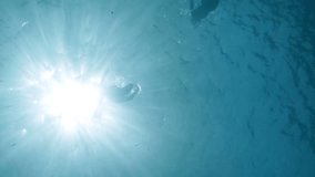 Video 1080p - Unique perspective shot of tourists reaching out to touch a friendly sea turtle. all backlit and silhouetted against the sunlit surface. Taken from the shallow ocean floor below.