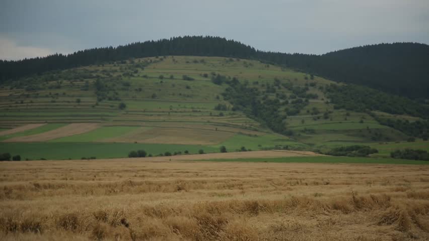 Hills, forests through the wheat field,