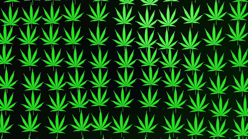 Футаж марихуана растения как конопля