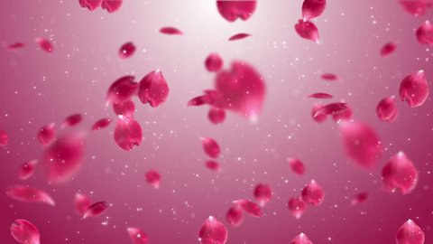 Camera passing through the mass of hovering in the air rose petals