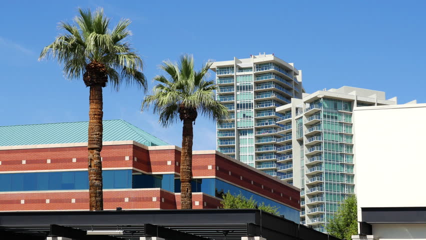 Palm trees, and office and apartment buildings in Tempe, Arizona. 4K slow zoom out.