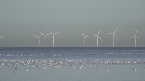 Wind turbines in Irish Sea in Liverpool Bay with sea birds in foreground at high tide, England
